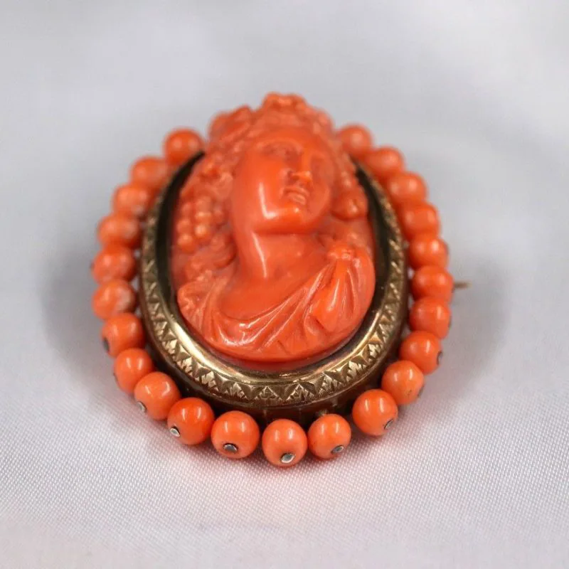 Broche camée corail détail or