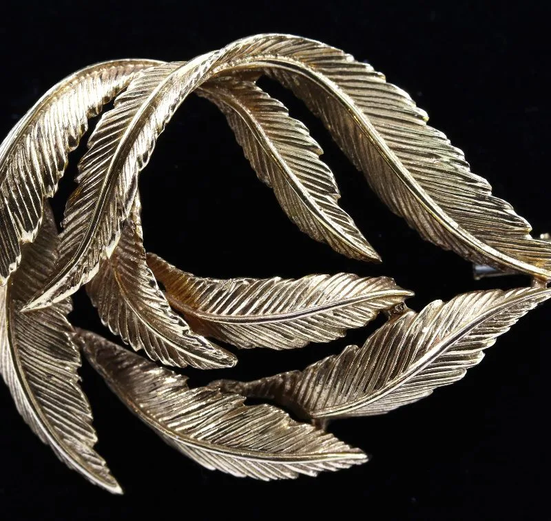 Broche plumes or
