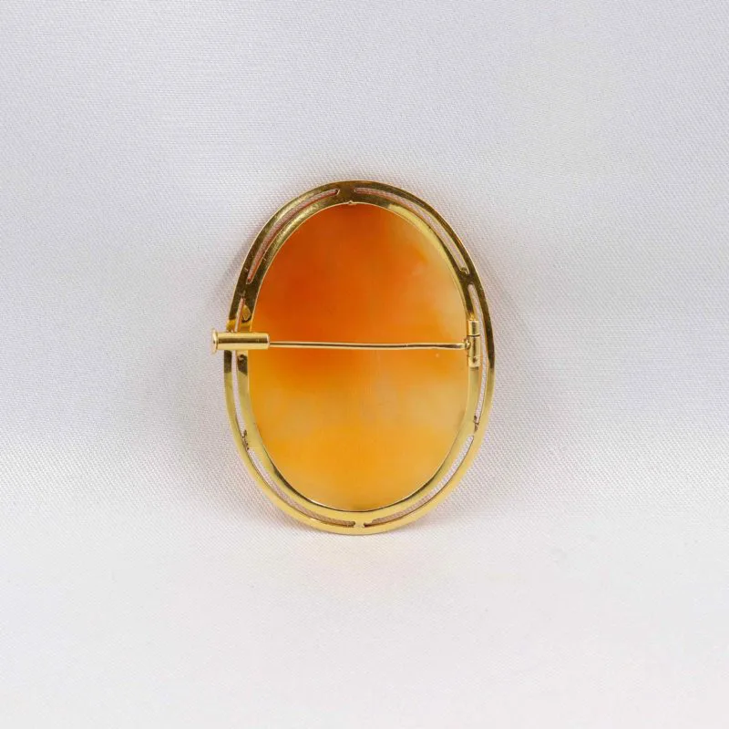 Dos camée coquillage double monture or